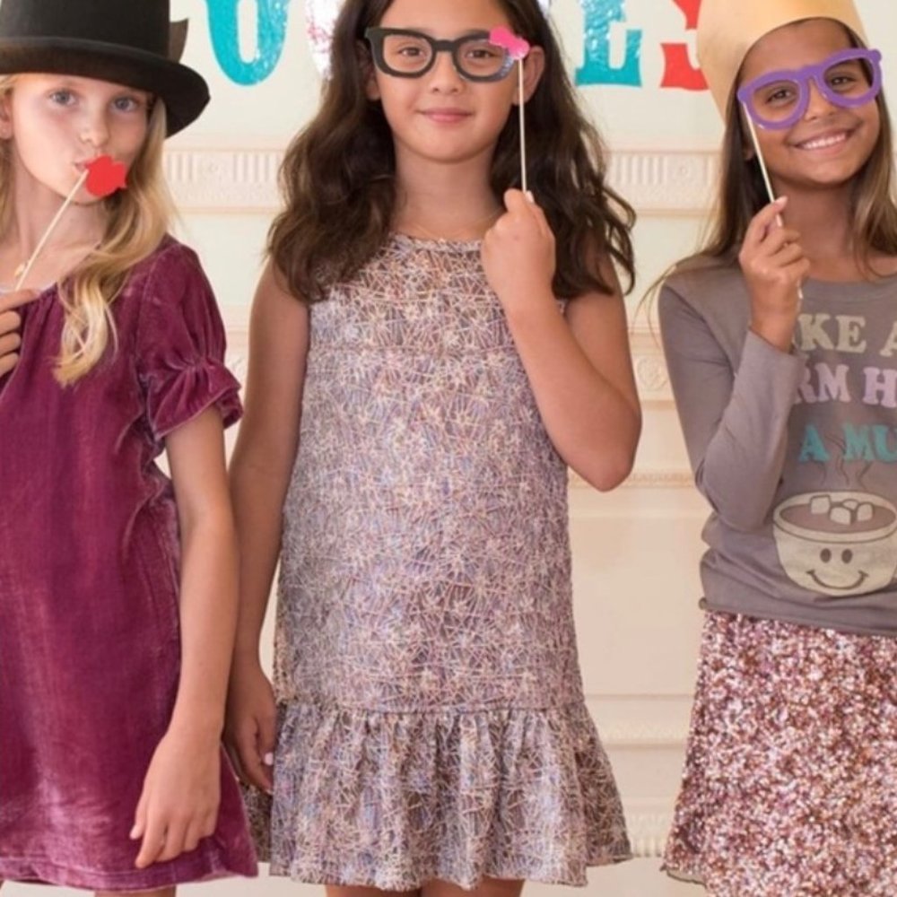 Nordstrom PEEK 'Brooklyn' shimmery pink crop waist Holiday dress 2-3 yrs